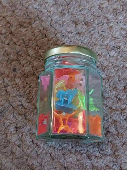 Photo of free Jar of butterfly hair clips (Coley RG1) #1
