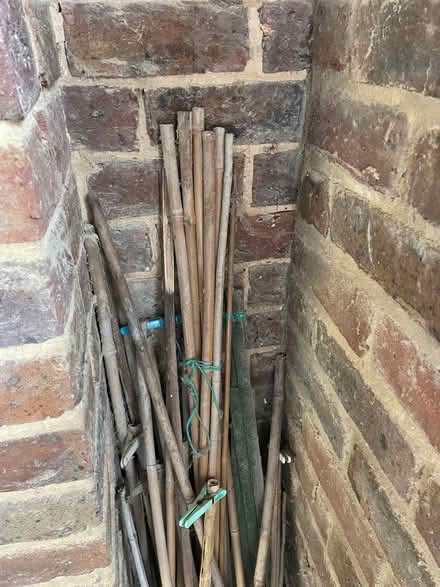 Photo of free Bamboo garden stakes (Seaford BN25) #1
