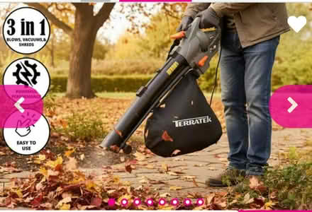 Photo of Leaf Blower (Castle Vale B35) #2