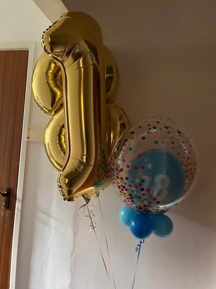 Photo of free Balloons 1 & 18 (OX1 henwood) #1