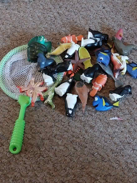 Photo of free Toy sea creatures and net (Coley RG1) #1