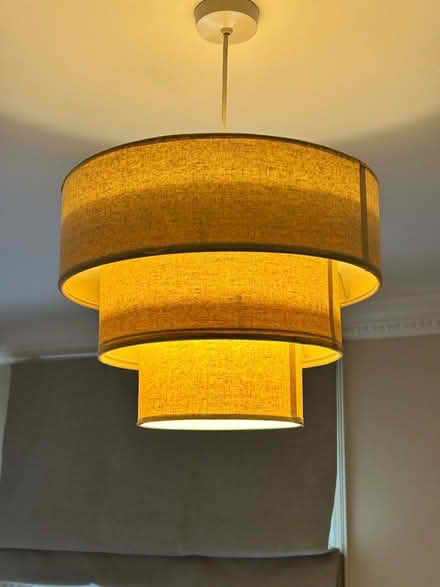 Photo of free 2 light shades (Chiswick W4) #1