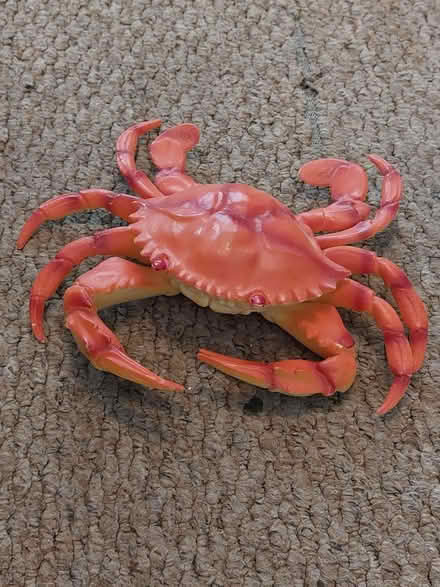 Photo of free Toy crab (Coley RG1) #1