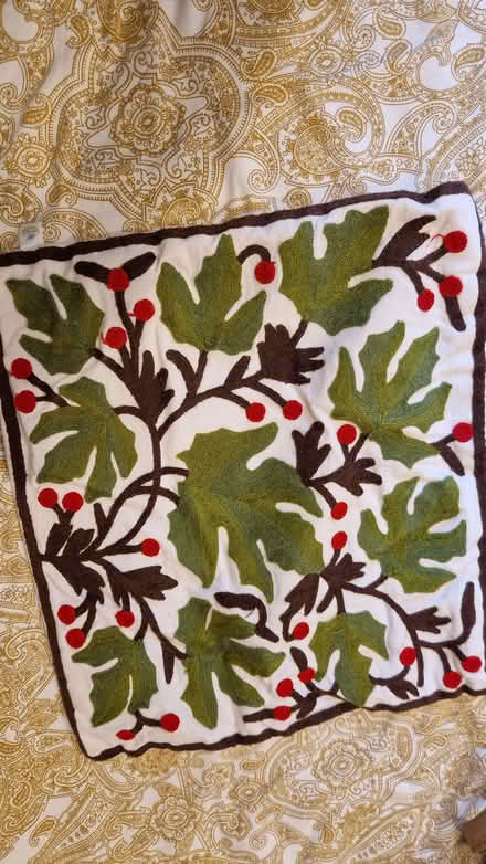 Photo of free Cushion cover (Yapton BN18) #1