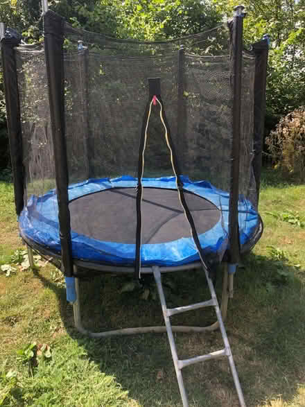 Photo of free 6ft trampoline (Shotover OX3) #1