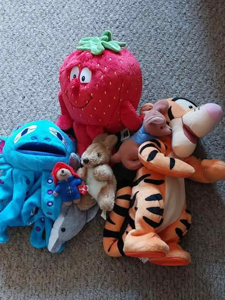 Photo of free Cuddly toys (Coley RG1) #1