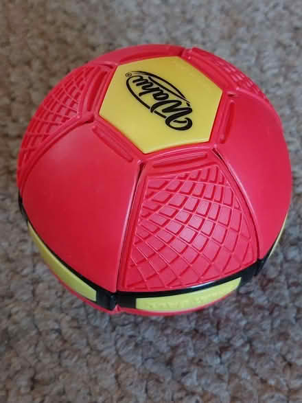 Photo of free Ball/Frisbee toy (Coley RG1) #1