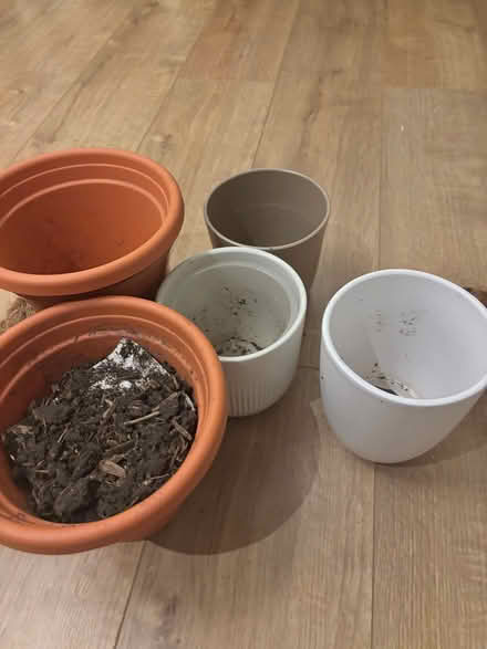 Photo of free Plant pots various sizes (will be emptied before collection) (Canning Town E16) #1