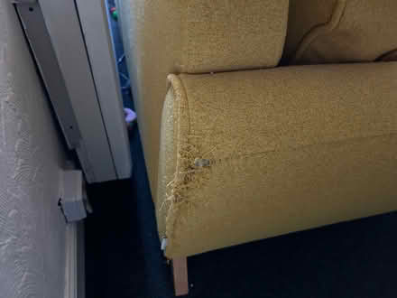 Photo of free Mustard colour sofa (Argos) (Kings Norton B38) #2
