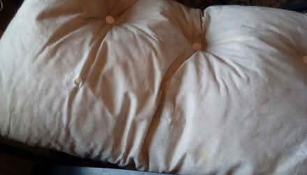 Photo of free Folding sunlounger (Derby DE23) #2