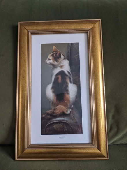 Photo of free Framed cat picture (Maldon CM9) #1