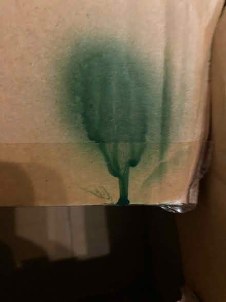 Photo of free Frosted glass spray + green enamel spray (CT11) #2