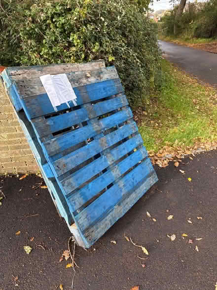 Photo of free Two Pallets! (Glenleigh Park TN39) #1