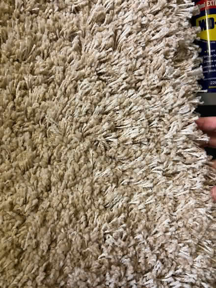 Photo of free Extra large beige shaggy rug (Bussage GL6) #1
