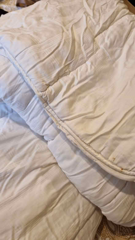 Photo of free Duvet (Yapton BN18) #1