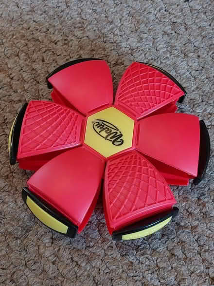 Photo of free Ball/Frisbee toy (Coley RG1) #2