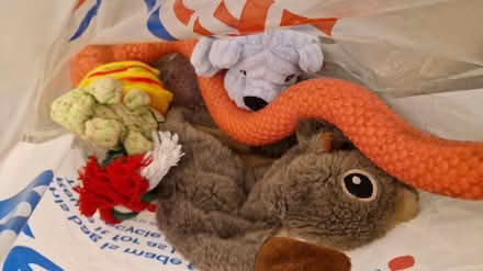 Photo of free Dog toys (TN34 West Hill) #1