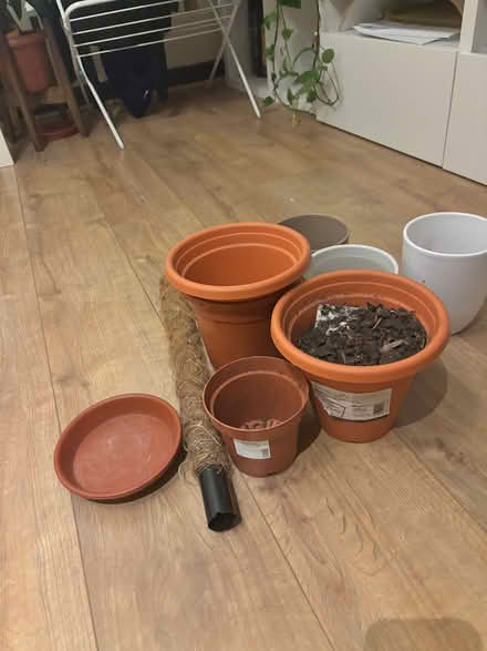 Photo of free Plant pots various sizes (will be emptied before collection) (Canning Town E16) #2