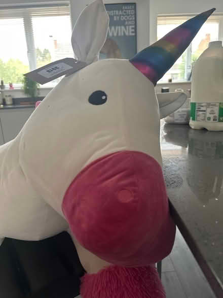 Photo of free Big. Unicorn. See description (Bedford MK41) #1