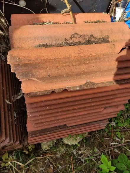 Photo of free Roof tiles (High Town LU2) #3