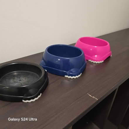 Photo of free Kitten bowls (Greenwich Peninsula SE10) #1