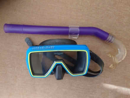 Photo of free Snorkelling gear – mask, snorkel & fins (Clerwood EH12) #2