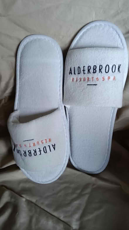 Photo of free Slippers, never worn, terry cloth (Magnolia 98199) #2