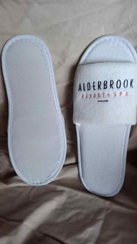 Photo of free Slippers, never worn, terry cloth (Magnolia 98199) #1