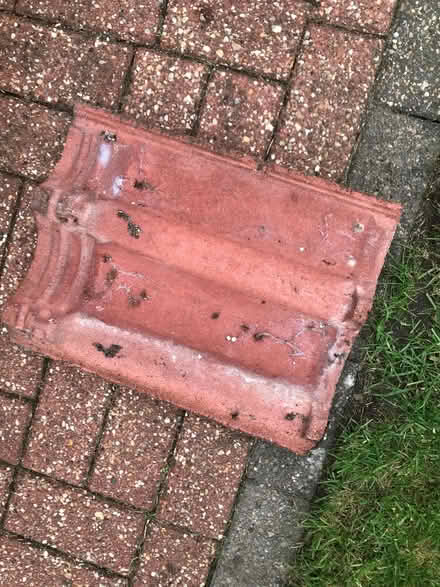 Photo of free Roof tiles (Greenbridge SN3) #2