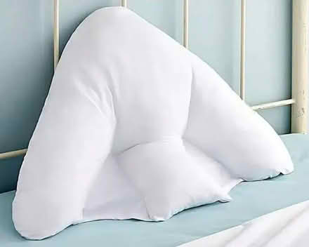 Photo of free batwing pillow (Moor Allerton LS17) #1