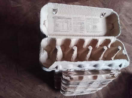 Photo of free Egg Boxes (Farmoor OX2) #1
