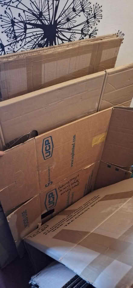 Photo of free Moving boxes (Welling DA16) #3