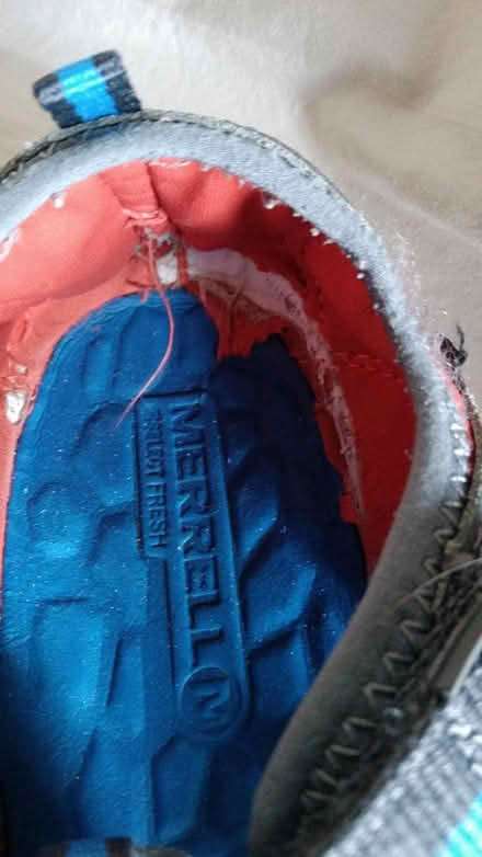 Photo of free MERRELL select grip size EU 37 (Magnolia 98199) #2
