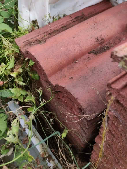 Photo of free Roof tiles (High Town LU2) #1
