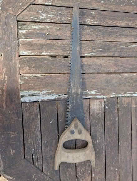 Photo of free Wood/branch saw (Kidlington OX5) #1