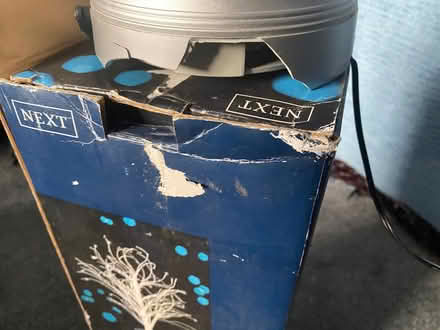 Photo of free Next 2ft white fibre optic twig tree (Kimberley NG16) #2