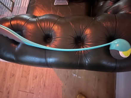 Photo of free Dog Ball & launcher (SE15) #1