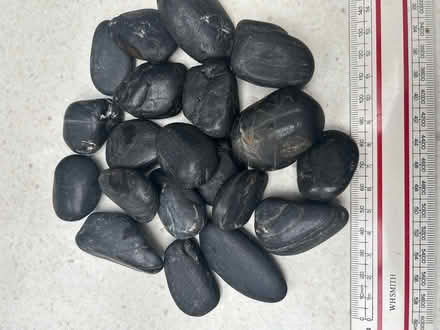 Photo of free Black pebbles (Hulme M16) #1