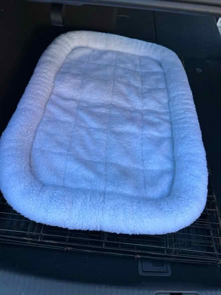 Photo of free Large dog liner for crate (Littleton) #2