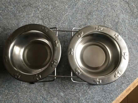 Photo of free Raised stainless steel cat bowls on stand (Eye) #1