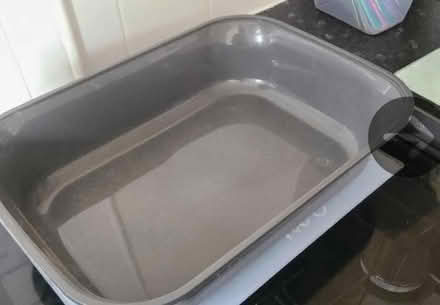 Photo of free Cat litter tray and some cat lit (South Reading RG2) #3