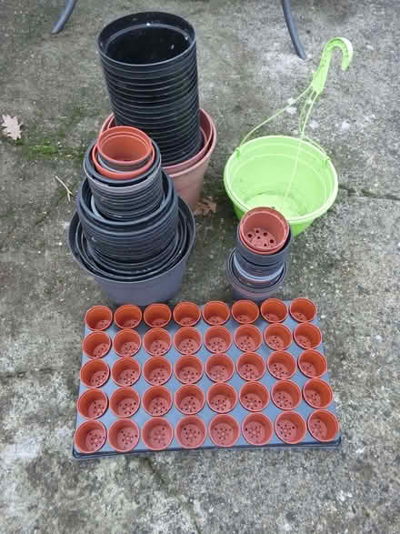 Photo of free Selection of flower pots (North Ascot SL5) #1