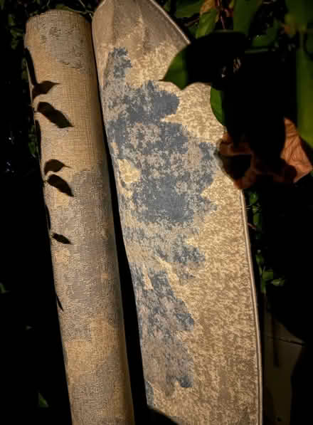 Photo of free Area rug (Valencia Avenue, Sunnyvale) #1