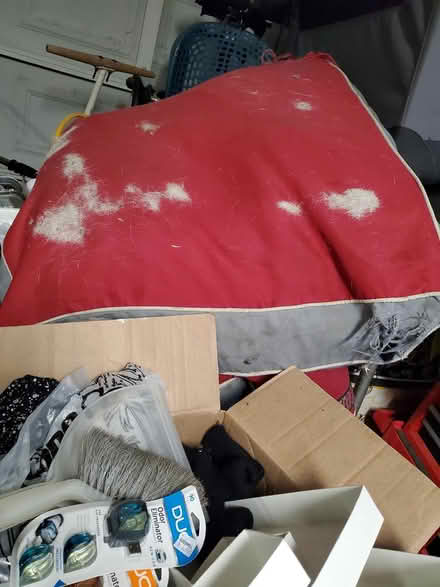 Photo of free Wooden Dresser & 2 big dog beds (South Oak Park) #2