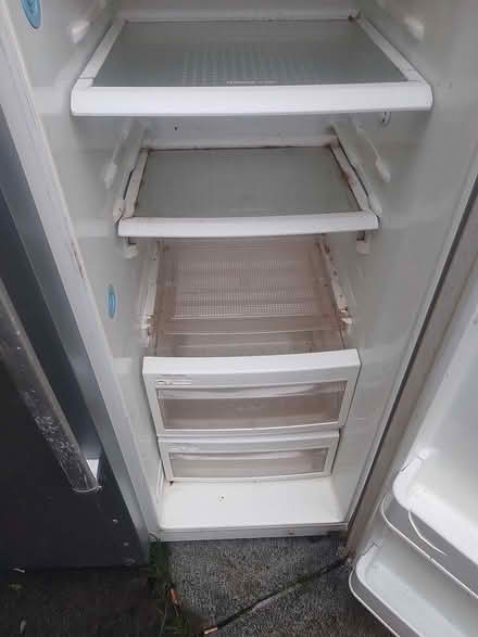 Photo of free Lg fridge freezer (Bt125bn) #3