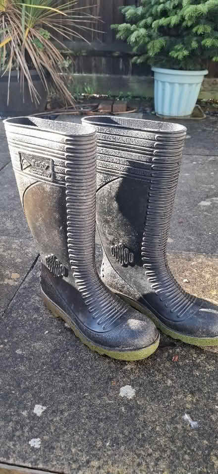 Photo of free Wellington Boots (High Brooms TN4) #1