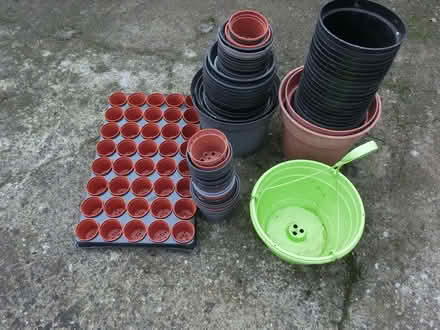Photo of free Selection of flower pots (North Ascot SL5) #2