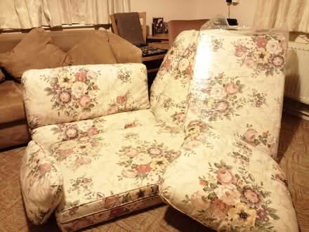 Photo of free Solid cushions (Spofforth HG3) #1