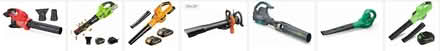 Photo of Leaf Blower (Stanley Park Kitchener) #1