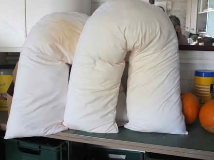 Photo of free Dorma V shaped support pillows (Battle TN33) #1